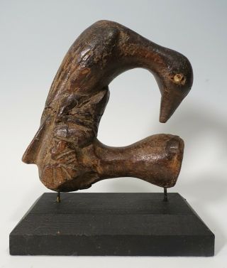Early 20th Century Old Carved Wood African Bird Statue Figure On Museum Stand