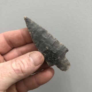 Authentic Arrowheads Thin Late Archaic Point Shelter Find Robertson County Tn