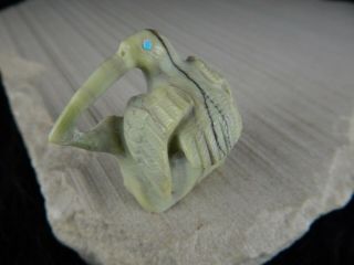 Hummingbird Zuni Fetish Carving - Derrick Kaamasee