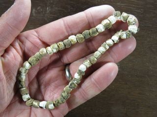 11 In.  Mississippian Necklace Marine Shell Beads Whitfield Co.  Ga Xbeutell