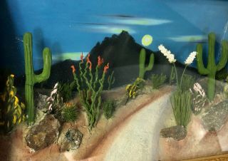 1940 ' s Handmade Evening DESERT SCENE IN RELIEF Diorama Sahuaro Cactus Frame 3