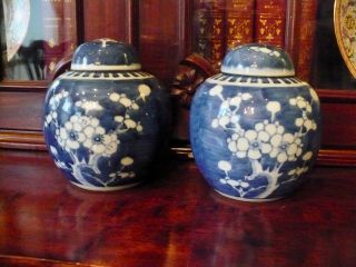 2 19th 201h Can Chinese Prunus Blue White Ginger Jar W Top Double Ring