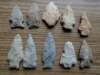 10 American Indian Arrowheads - Lancaster County Pa - Native American