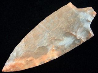 Fine Multi Colored Authentic Florida Newman Point Indian Arrowheads