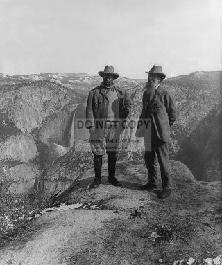 President Theodore Roosevelt With John Muir At Yosemite - 8x10 Photo (aa - 674)