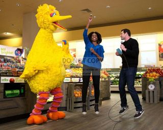 First Lady Michelle Obama With Big Bird From Sesame Street - 8x10 Photo (cc - 021)
