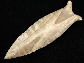 Fine Authentic 4 Inch Kentucky Cumberland Point With Indian Arrowheads