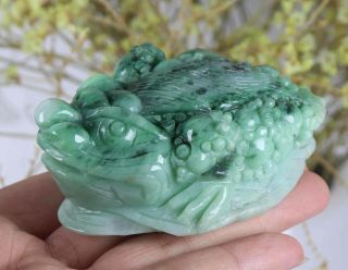 Certified Natural Green（grade A）jade Jadeite Toad Statue 89842h1n5 招财金蟾