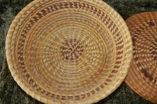 AUTHENTIC GULLAH CHARLESTON SWEETGRASS DOME BASKET WITH LID 3
