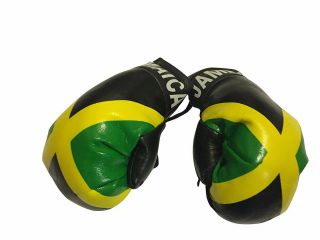 Jamaica Boxing Gloves Rear View Mirror