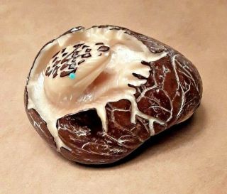Hatching Dinosaur Zuni Fetish Carving - Derrick Kaamasee - Tagua Nut - Rare