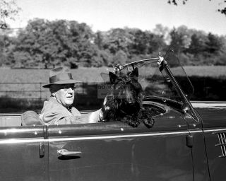 Franklin D.  Roosevelt In Convertible W/ First Dog " Fala " - 8x10 Photo (zz - 186)