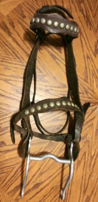 Vintage Leather Antique Horse Bridle With Horse Head Rosettes And Aluminum Bit