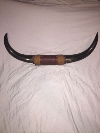 TEXAS LONG HORN STEER COW BULL HORNS WALL MOUNTED LEATHER ROPE WESTERN DECOR 2