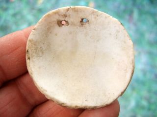 Fine Alabama Southern Hopewell Conch Shell Drilled Gorget With Arrowheads