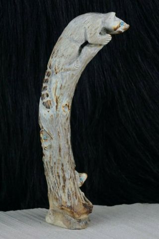 Bear Zuni Fetish Carving - Derrick Kaamasee 2