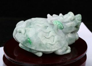 Cert ' d 2 Color Natural Grade A Jade Statue Sculpture dragon turtle 龙龟 r087762 2