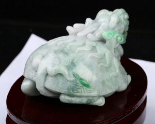 Cert ' d 2 Color Natural Grade A Jade Statue Sculpture dragon turtle 龙龟 r087762 3