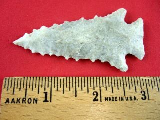 Fine Authentic 3 Inch Kentucky Saw Tooth Pine Tree Point Indian Arrowheads 2