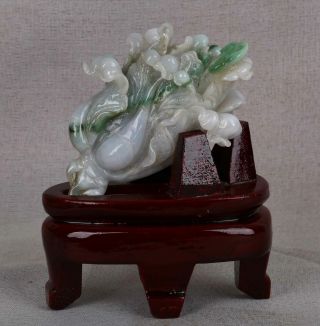Cert ' d Untreated Green Nature jadeite Jade Sculpture statue cabbage 白菜 r042052 2