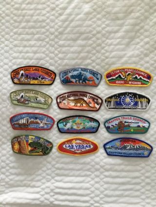 For The Collector: 12 Bsa Council Shoulder Patches (csp’s)