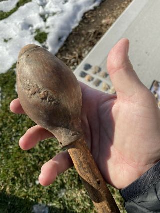 Native American Gourd Rattle 1850 - 1900 2