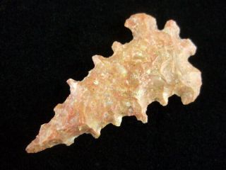 Grade 10 Authentic Illinois Agate Fox Valley Point With Arrowheads 3