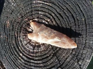 Arrowhead Deep South Artifact Florida ancient archaic paleo trans dalton 3