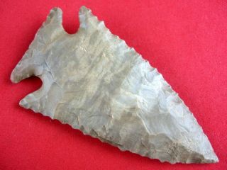 Extra Fine Authentic 3 1/4 Inch Tennessee Lost Lake Point Indian Arrowheads