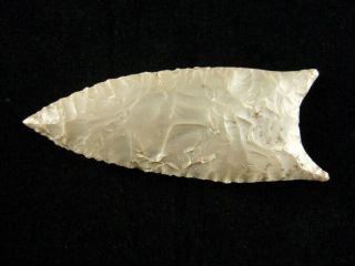 Fine Authentic 3 1/8 Inch Kentucky Dalton Point With Indian Arrowheads 2