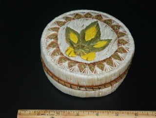 Fine 5 " Anishinaabe Great Lakes Indian Birch Bark Quill Box Basket First Nation