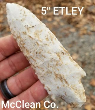 5 " Etley Arrowhead Spear Point Mcclean Co Il Authentic Native Indian Artifact