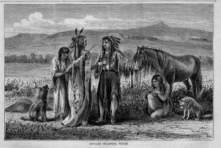 Indians Swapping Wive Noble Red Man Horse Dogs Feathers Bow And Arrows History
