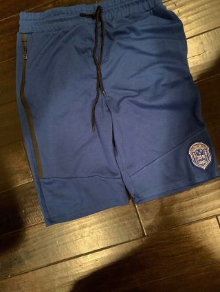 Zeta Phi Beta Sorority Blue Shorts Size 2x