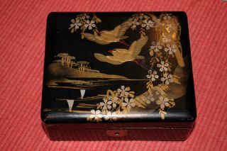 Vintage Japanese Black Lacquer Trinket Box - Painted Birds & Trees