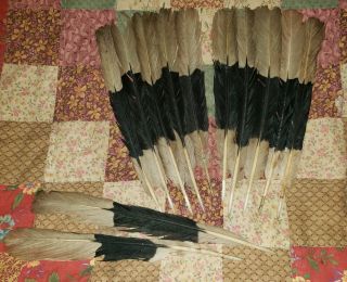 12 Hornbill Tail Feathers,  Regalia,  Powwow,  Nac,  Peyote,  Fly Fishing,  2nds 5