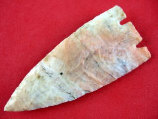Fine Authentic 3 1/4 Inch Florida Basal Notched Citrus Point Indian Arrowheads