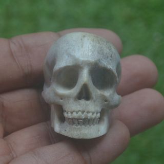 Skull Carved Bead 36mm In Height S566 In Moose Antler Carving