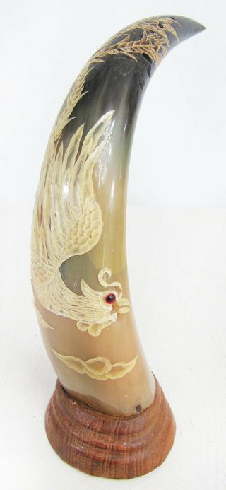Lovely Vintage Chinese Phoenix Carved Water Buffalo Horn - Signed