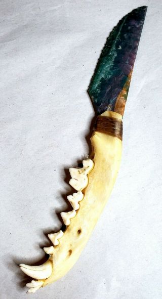 Masterfully Custom Knapped,  Colorful Jasper Stone Knife W/coyote Jaw Bone Handle