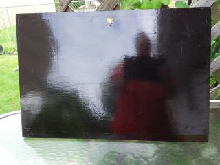 Vintage Vietnam wall panel black lacquer mother of pearl shall art SAYGON. 2
