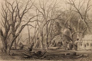 Seth Eastman,  Indian Sugar Camp,  Engraving 1852