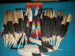 40 Horn Bill Wing Feathers,  Regalia,  Powwow,  Nac,  Peyote,  Fly Fishing,  2nds