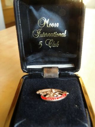 1990 - 91 Loyal Order of Moose Membership Campaign Moose Magic 5 Club Lapel Pin 3