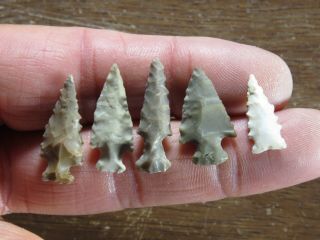 Group Of 5 Colorful Late Woodland Arrow Points,  Dunklin County,  Missouri