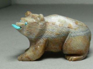 Zuni Fetish F - 464 Picasso Marble Bear With Fish By Kent Banteah