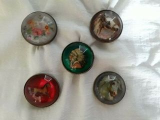 5 Wonderful Glass Domed Horse Bridle Rosette Buttons