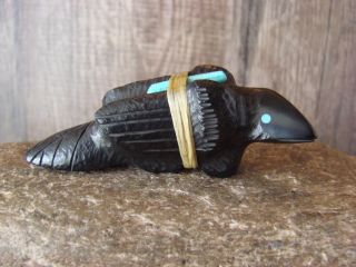 Zuni Indian Hand Carved Jet Raven Fetish By Herbert Halate Native America Ff381