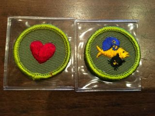 Bsa Merit Badge Re Twill 1960 - 1969 Personal Fitness And Pets