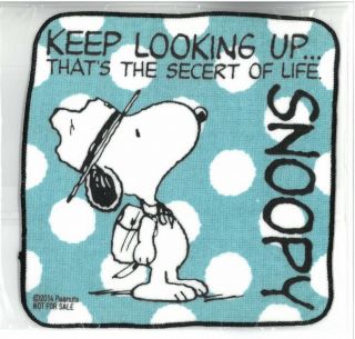 Limited Official Boy Scout Snoopy Handkerchief Towel